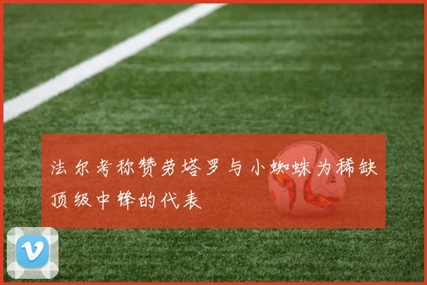 法尔考称赞劳塔罗与小蜘蛛为稀缺顶级中锋的代表