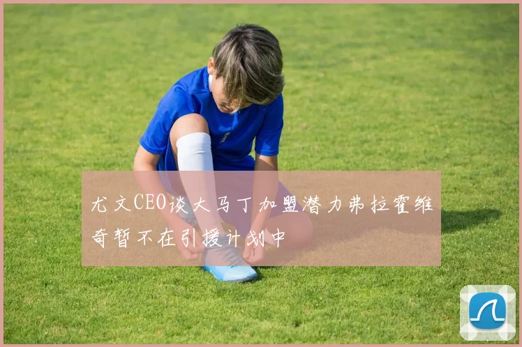 尤文CEO谈大马丁加盟潜力弗拉霍维奇暂不在引援计划中