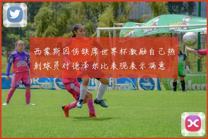 西蒙斯因伤缺席世界杯激励自己热刺球员对德泽尔比表现表示满意